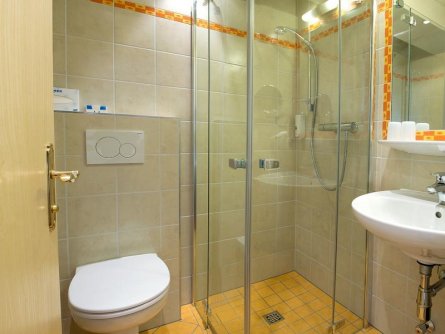 hotel schneeberger niederau (3)